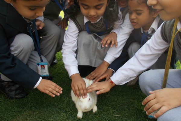 Animal activity by Aryan Public School students